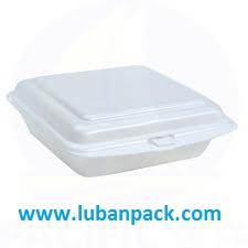 Foam Lunch Box