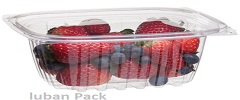 Fruits Container